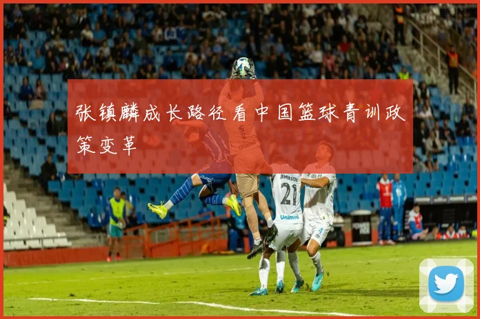 张镇麟成长路径看中国篮球青训政策变革