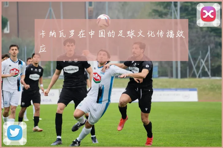 卡纳瓦罗在中国的足球文化传播效应