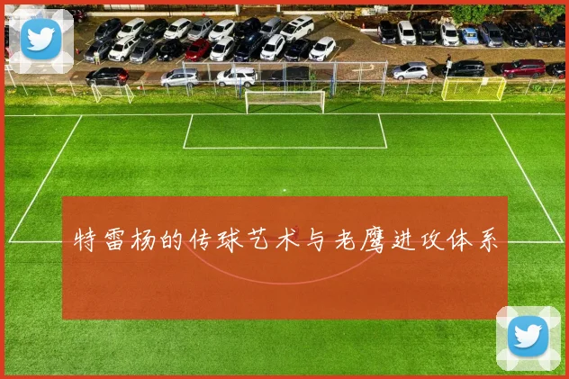 特雷杨的传球艺术与老鹰进攻体系