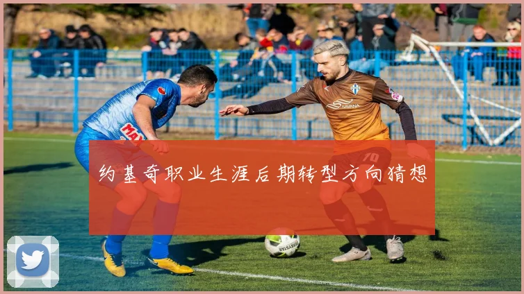约基奇职业生涯后期转型方向猜想