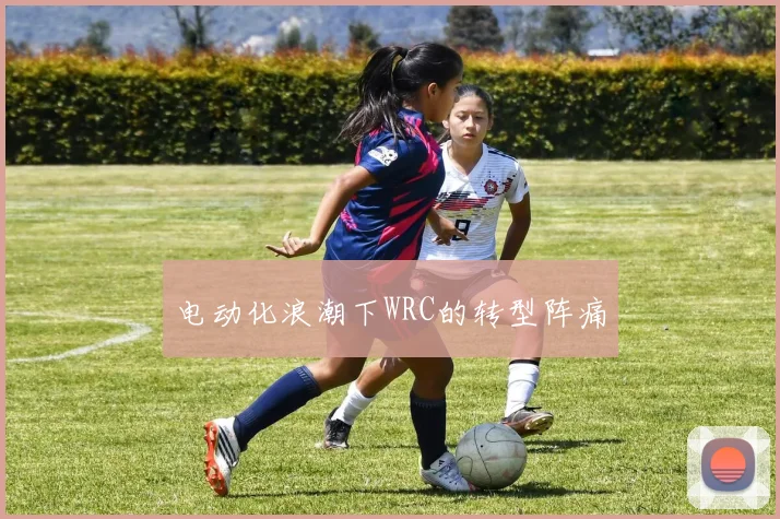 电动化浪潮下WRC的转型阵痛