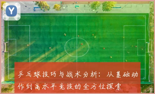 乒乓球技巧与战术分析：从基础动作到高水平竞技的全方位探索