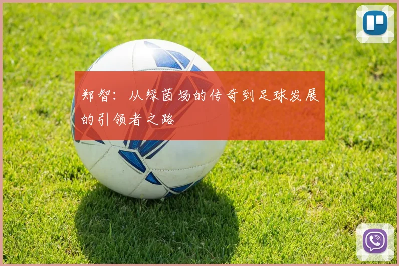 郑智：从绿茵场的传奇到足球发展的引领者之路