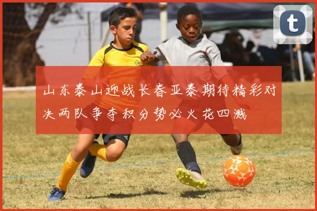山东泰山迎战长春亚泰期待精彩对决两队争夺积分势必火花四溅