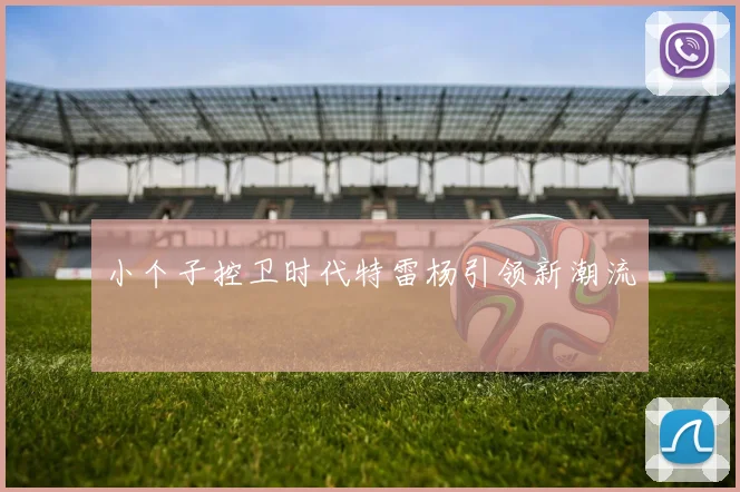 小个子控卫时代特雷杨引领新潮流