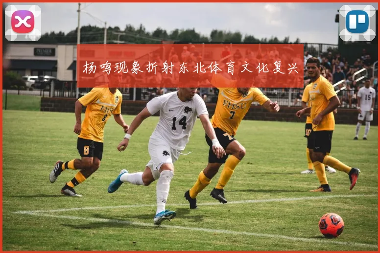 杨鸣现象折射东北体育文化复兴